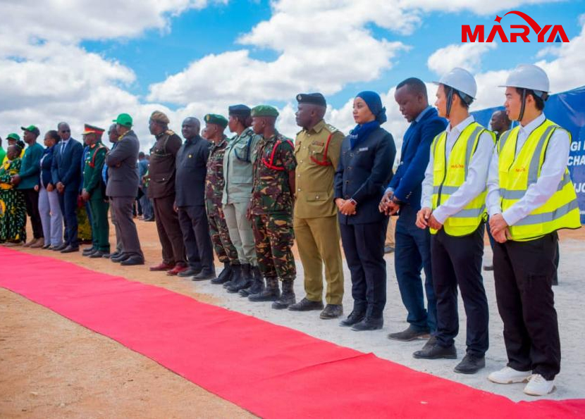 танзанианской клиенты Fruic Line Project1 Project1