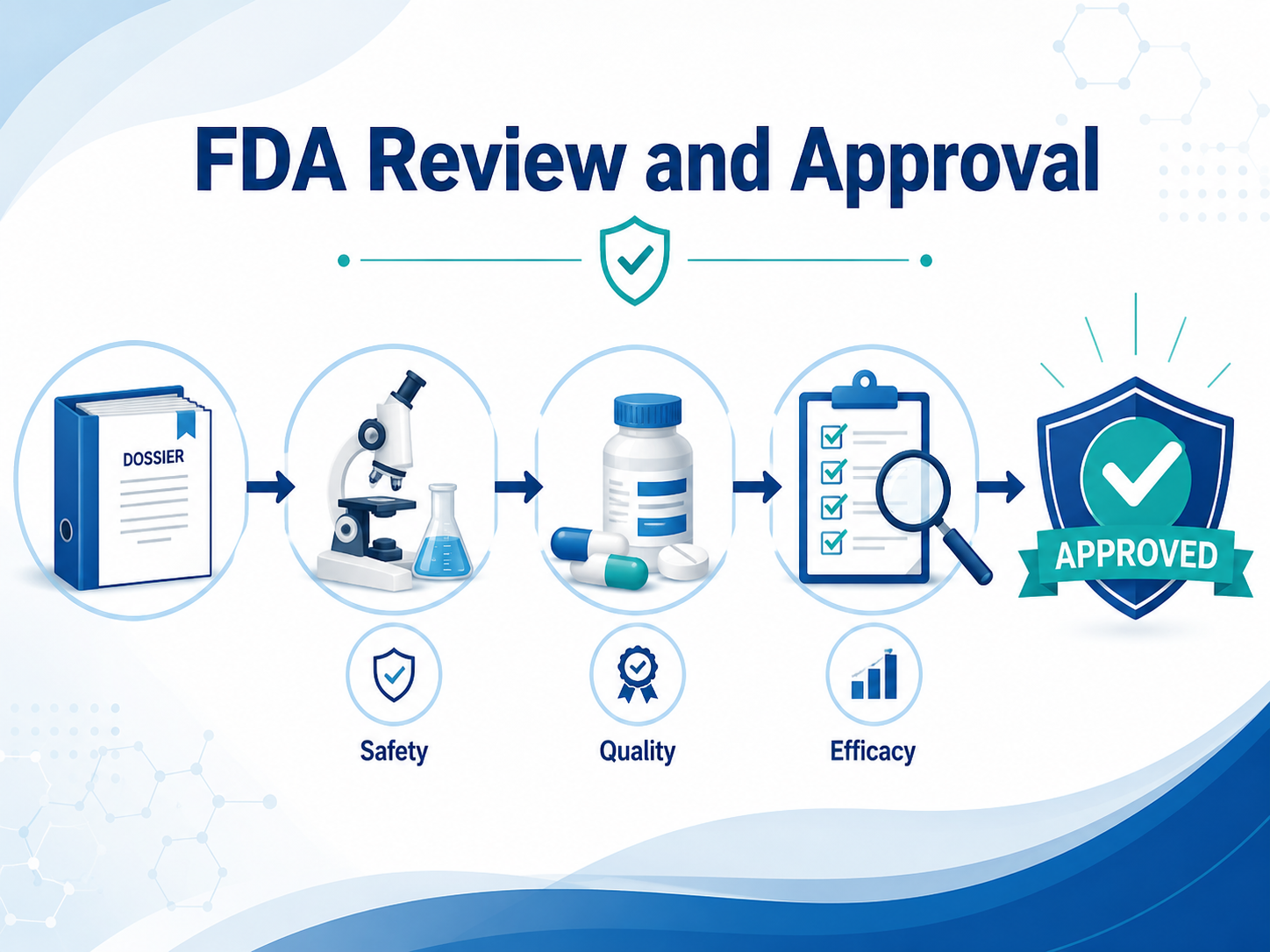 Обзор и одобрение FDA